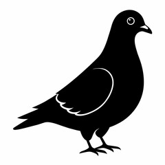 Pigeon of peace silhouette vector art illustration with white background
