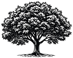 Tree Vector Illustration Drawing	