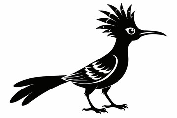 Hoopoe silhouette vector illustration isolated on white background 