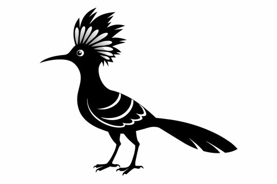 recommend clip art: Hoopoe silhouette vector illustration isolated on white background 