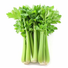 Green celery sticks isolated on white background