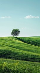 Lonely Tree on a Hill