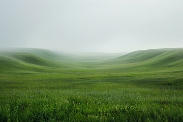 Fototapeta premium Green rolling hills under a white sky