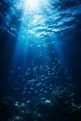 Obraz premium Underwater scene with a school of fish swimming over a coral reef