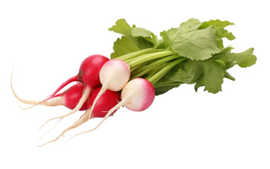 Crunchy Oriental Radish Vegetable Isolated On Transparent Background PNG.