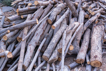 background pile of wood