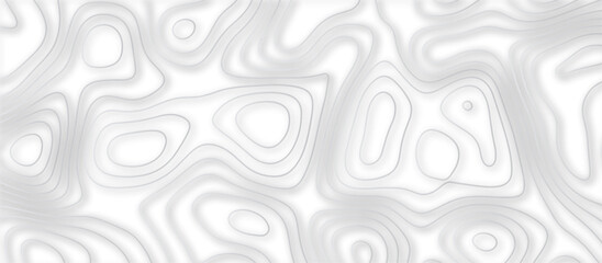 Abstract topographic contours 3d map background .topographic line texture background .monochrome image .stylized height of the topographic map contour in lines.	