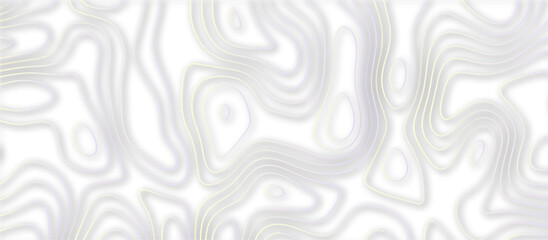 Abstract topographic contours 3d map background .topographic line texture background .monochrome image .stylized height of the topographic map contour in lines.	