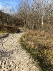 Schöner Wintertag auf der Ostfriesischen Nordseeinsel Juist 