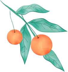 Oranges with leaf