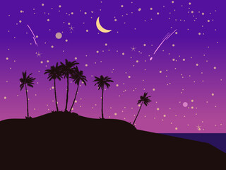 Night Tropical seashore landscape, palms, moonlight. Summer exotic scene view, silhouette, falling star