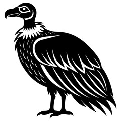 Vulture silhouette vector illustration isolated on a white background.