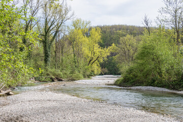 Fototapeta na wymiar L'Allondon rivière sauvage et naturel juste avant l'embouchure du Rhône