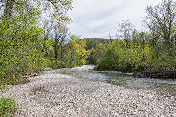 L'Allondon rivière sauvage et naturel juste avant l'embouchure du Rhône
