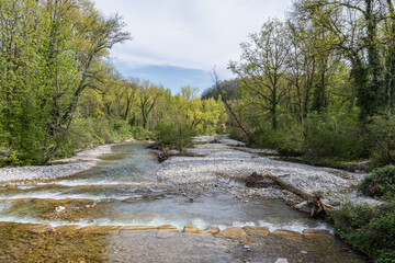 L'Allondon rivière sauvage et naturel juste avant l'embouchure du Rhône