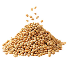 pile of soybeans on transparent background