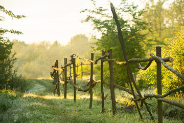 Landscape with beautiful nature in the village in the Republic of Moldova. Country life in Eastern...