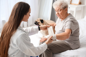 Female doctor bandaging wrist of senior woman with pug dog in bedroom