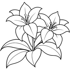 flower-coloring-book-vector--solid-white-backgroun