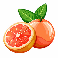 Grapefruit vector art illustration (5)