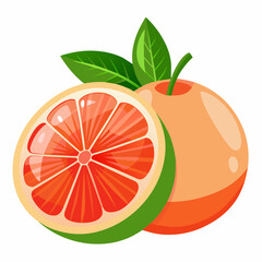 Grapefruit vector art illustration (8)