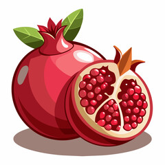 one-and-half-pomegranate-fruit-vector-art-illustra (2)