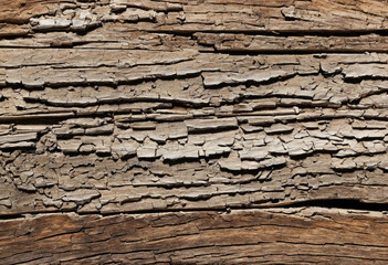 An old piece of wood, texture