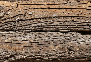 An old piece of wood, texture