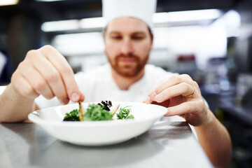 Dish, chef or man in kitchen in restaurant for lunch, fine dining or dinner presentation. Business, cafe or male expert for catering, serving or ingredients for culinary cuisine, green salad or food