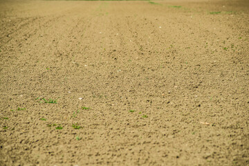 Leeres Feld mit Erde-Boden der Möglichkeiten