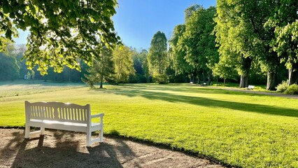  white bench in a park next to large old trees facing the lawn waiting for the morning sun