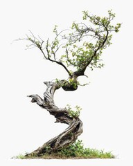 Twisted Ancient Tree Artwork. Generative ai