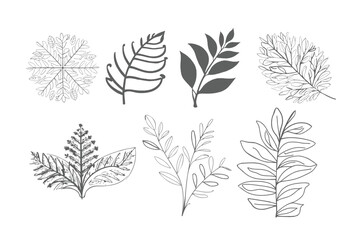 Free Vector floral leaf line art divider, EPs 10 vector illustration.