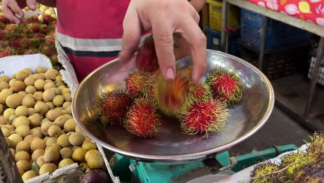 The rambutan fruit is native to Southeast Asia. It is closely related to several other edible tropical fruits, including the lychee, longan, pulasan, and quenepa.