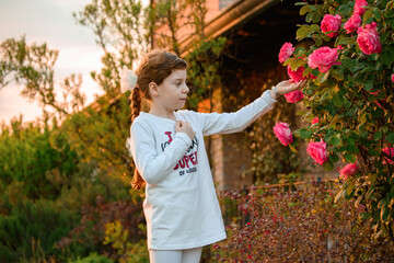 Bambina con capelli lunghi che accarezza e mostra fioritura di rose. Foto per comunicazione pubblicitaria, marketing e business - obrazy, fototapety, plakaty