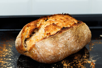 Baked at home, crispy bread, fresh from the oven, made with sourdough starter