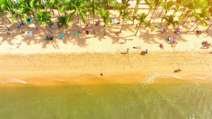Tropical escape: A lively beachscape thrives with tourists amidst towering coconut trees. The...