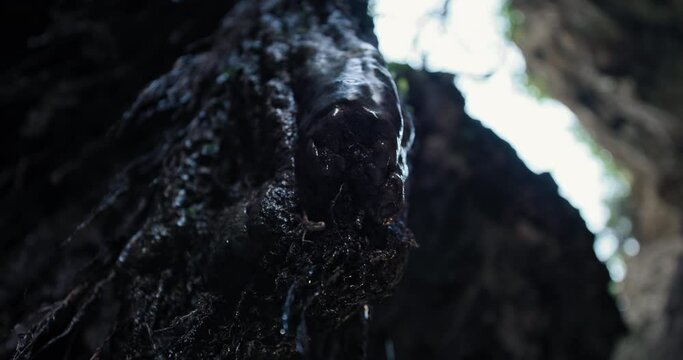 Slow motion video of drops of water dripping from a stone in a gorge, rocks untouched nature. High quality 4k footage
