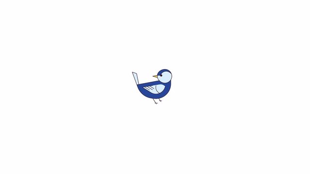 Small bird shaking tail and wings line 2D character animation. Wild fauna contemplation flat color cartoon 4K video, alpha channel. Cute flying creature animated animal on white background