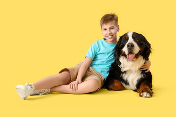 Cute fluffy dog and boy on yellow background