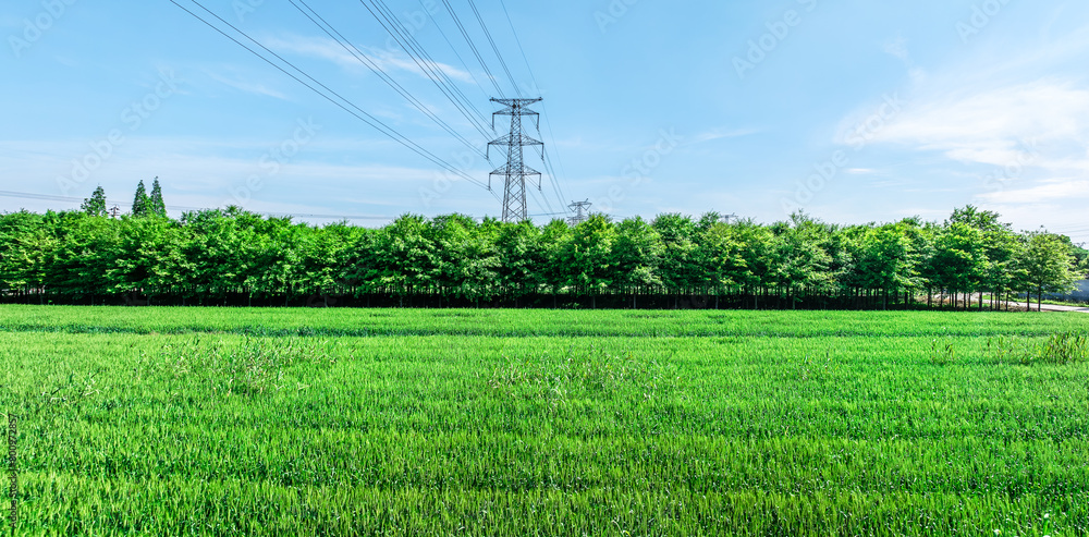 Canvas Prints High voltage electricity tower and farm