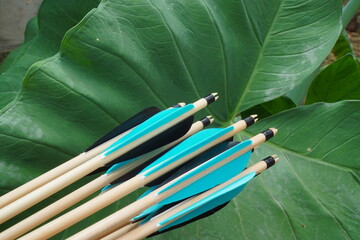 natural arrows on leaves