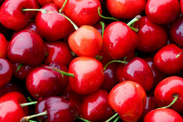 Bright red cherries gather together to fill the frame.
