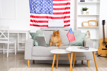 Cute Pomeranian dog with laptop on sofa and USA flags at home