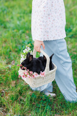 A girl is holding a basket with a rabbit in it. The rabbit is wearing a flower crown