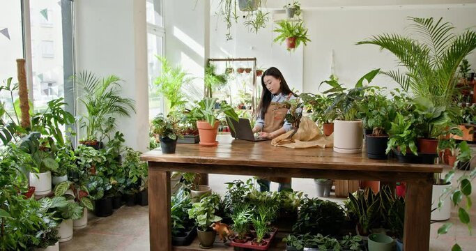 Small business, home decor concept. Asian female florist, owner of small business flower shop, using laptop surround flowers pots and plants. Smiling Asian flower shop owner working on laptop computer