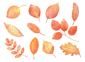 Obraz premium Autumn red leaves set. Hand drawn watercolor fall isolated illustrations.