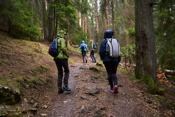 HIkers with backpacks on a trail in a rainy day - 800985033