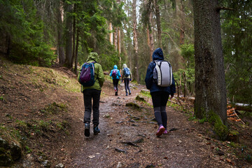 HIkers with backpacks on a trail in a rainy day - 800985036