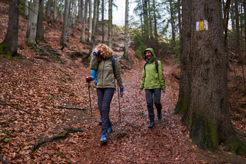 HIkers with backpacks on a trail in a rainy day - 800985091